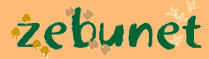 Logo Zebunet
