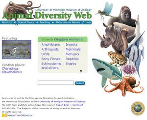 Site Pigtrop - Animal Diversity Web / Vinculos / Enlaces / Nuestra Red