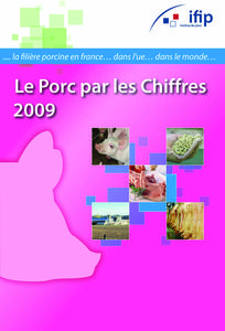IFIP_porcparleschiffres_cover
