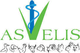 Asvelis logo